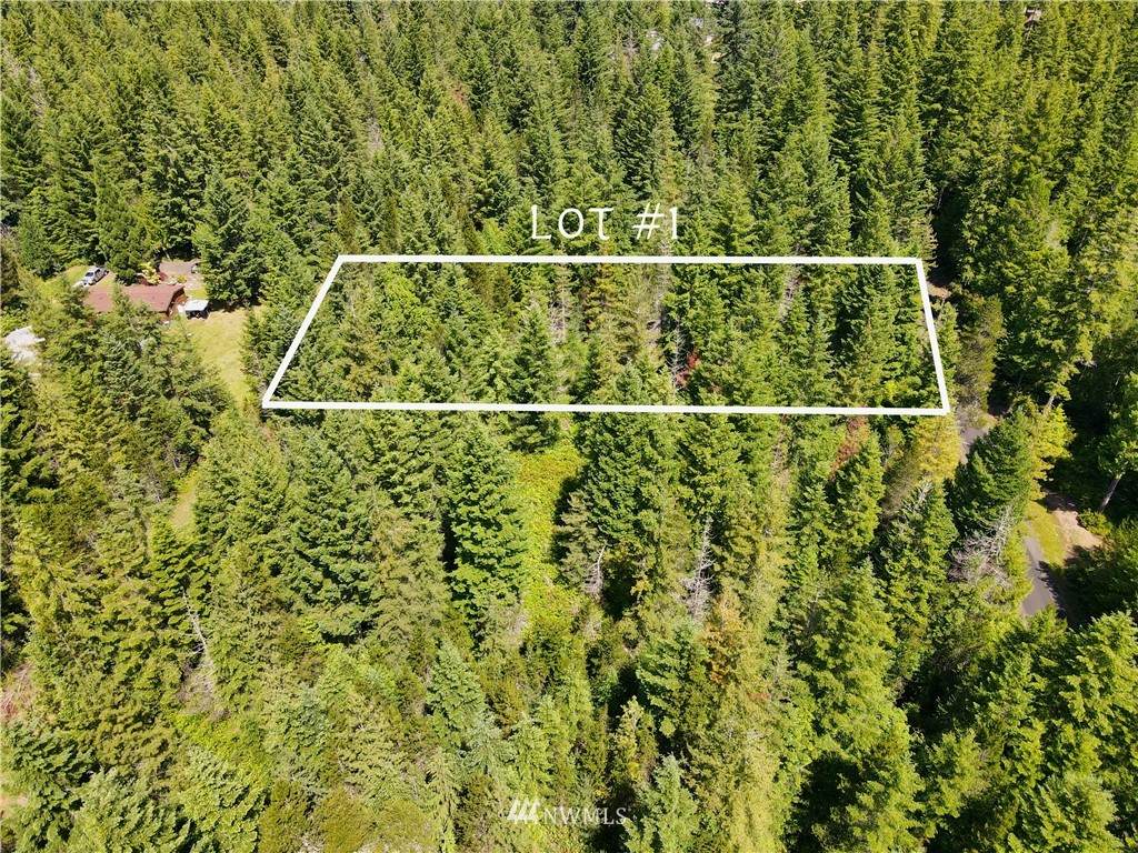 41 Hyland Drive - Photo 1