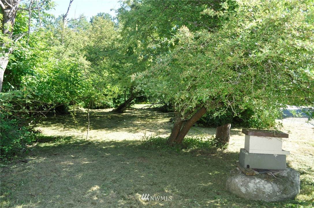 1921 Sucia Way - Photo 1