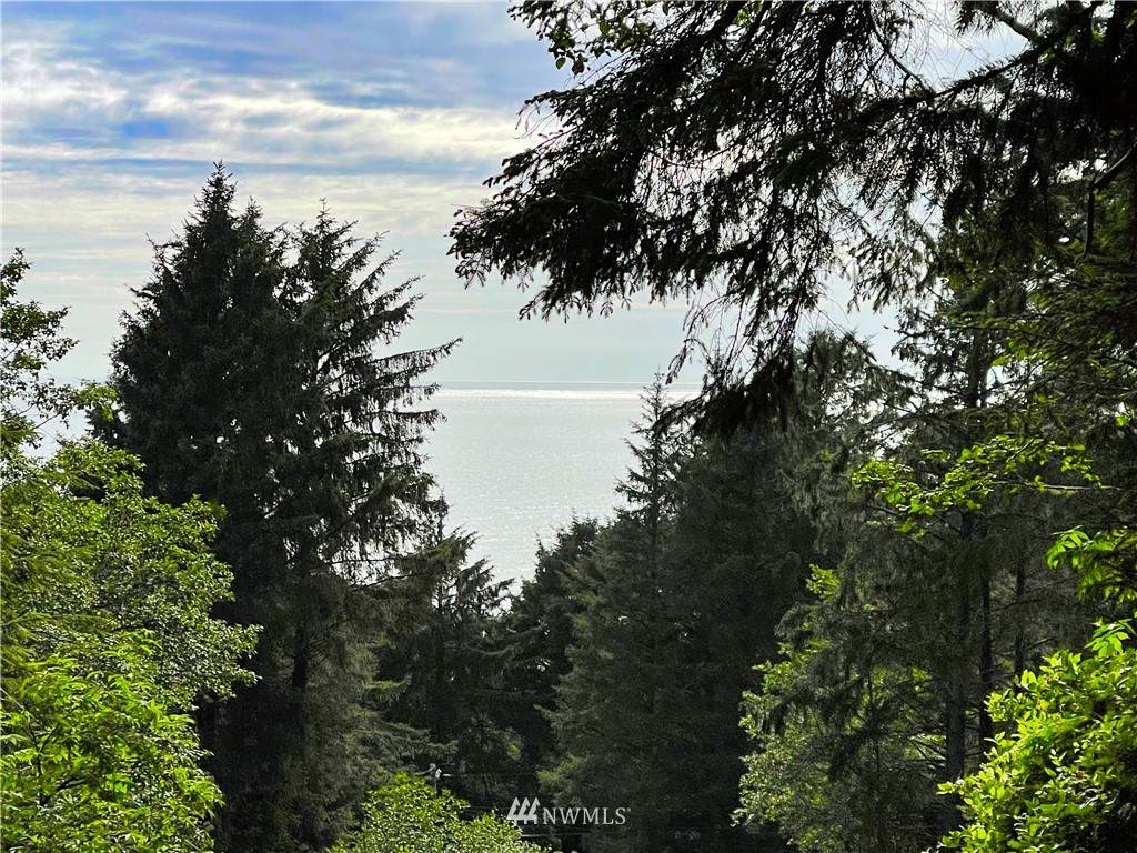 105 Upper Copalis Rocks Lane - Photo 1