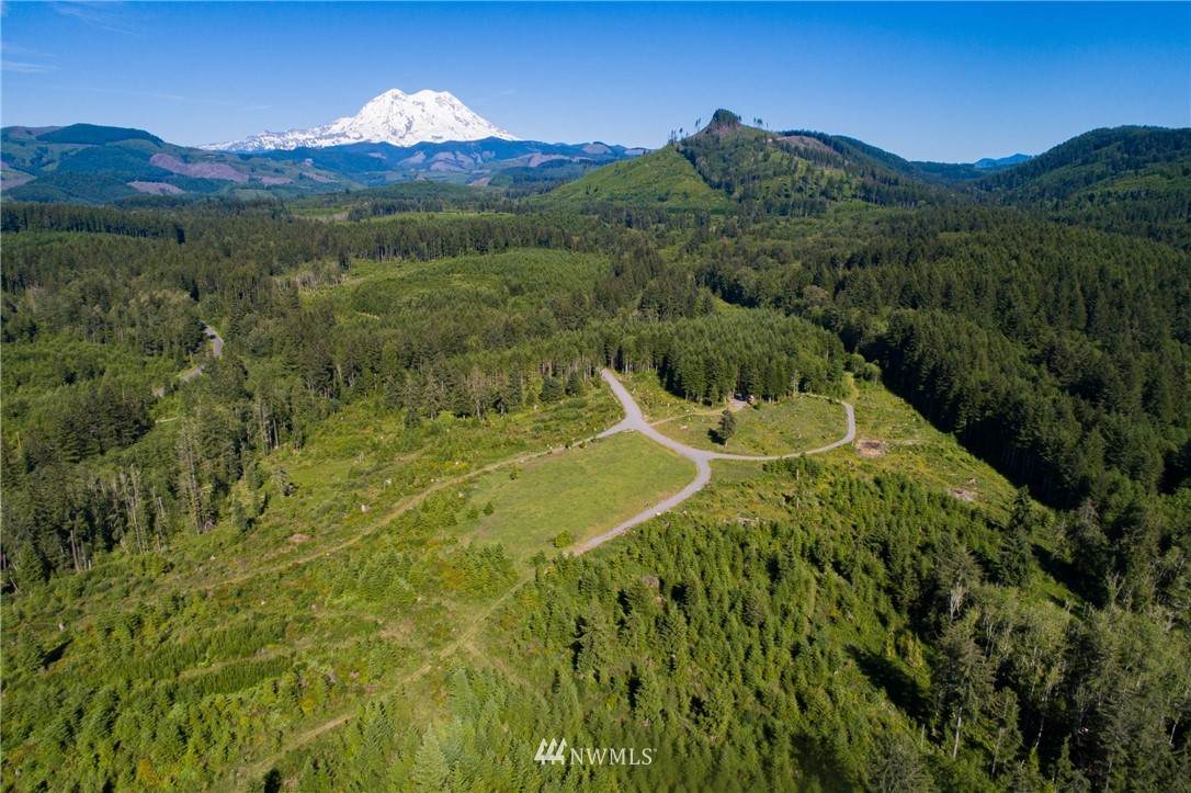 17002 Scott Turner Road - Photo 1