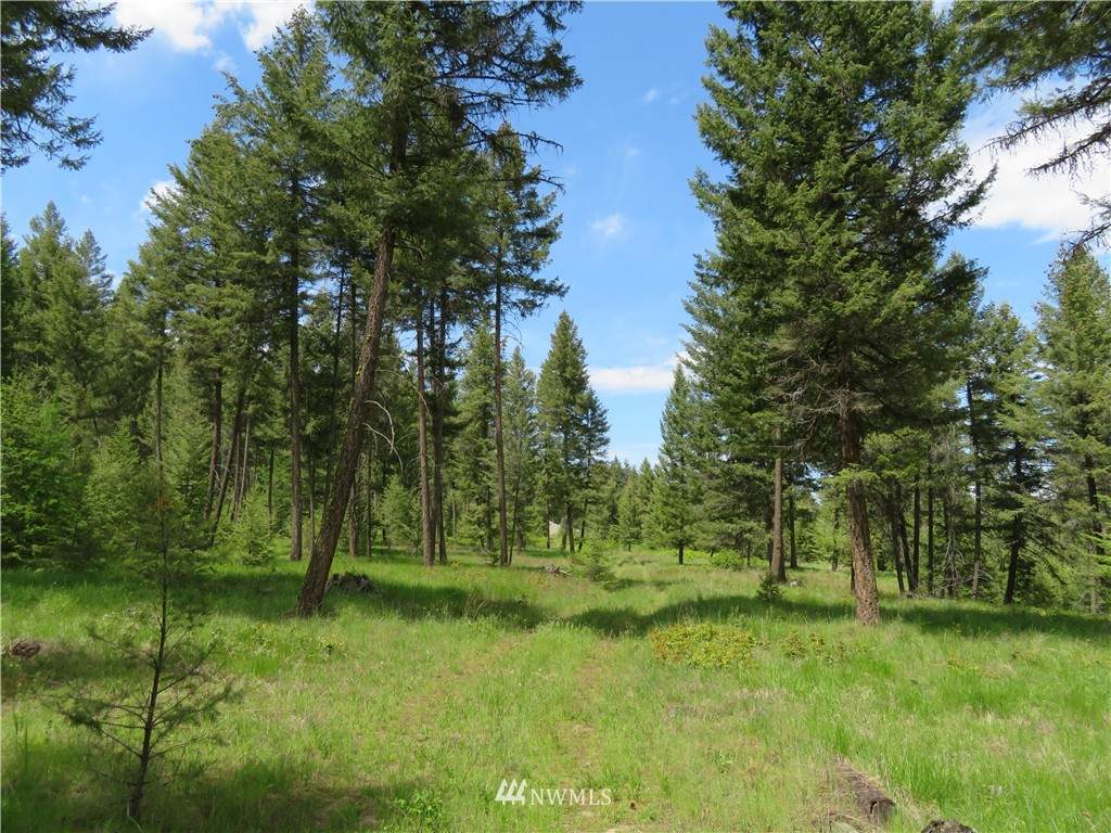 0 TBD Kettle River Road - Photo 1