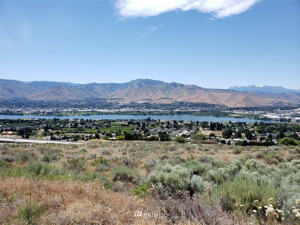0 Cougar Ridge Road - Photo 1