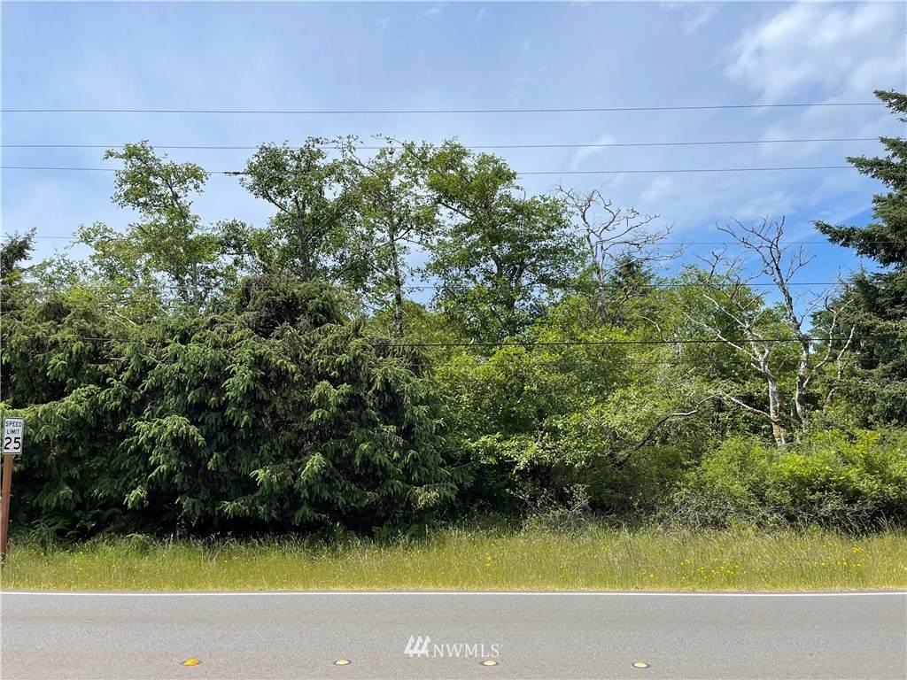 667 Dolphin Avenue - Photo 1