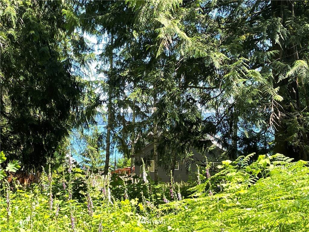 305000 Highway 101 - Photo 1