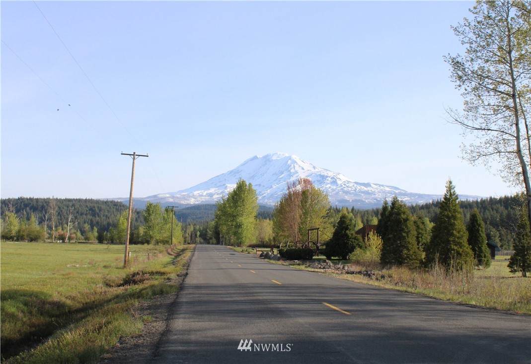 0 XXXXX Mt Adams Recreation Area Road - Photo 1