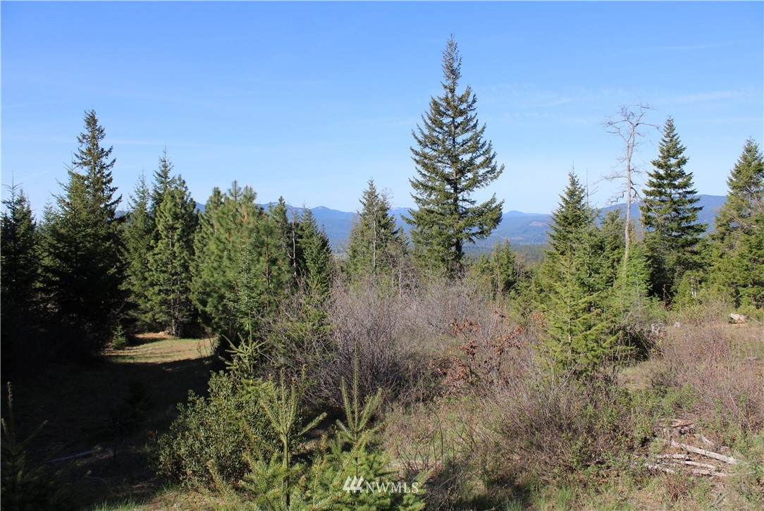 0 XXXX Mt Adams Recreation Area Road - Photo 1