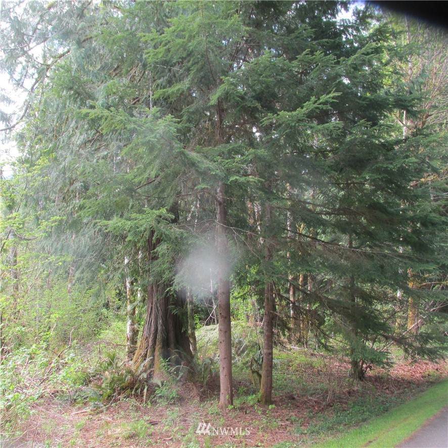 10333 Glacier Rim Drive - Photo 1