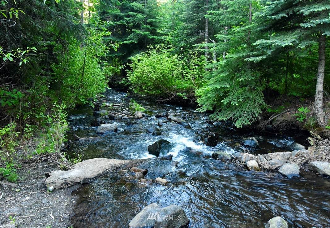 0 XXXX Nasty Creek Road - Photo 1