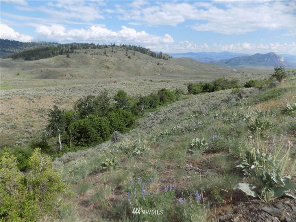 1111 TBD Ping Road - Photo 1