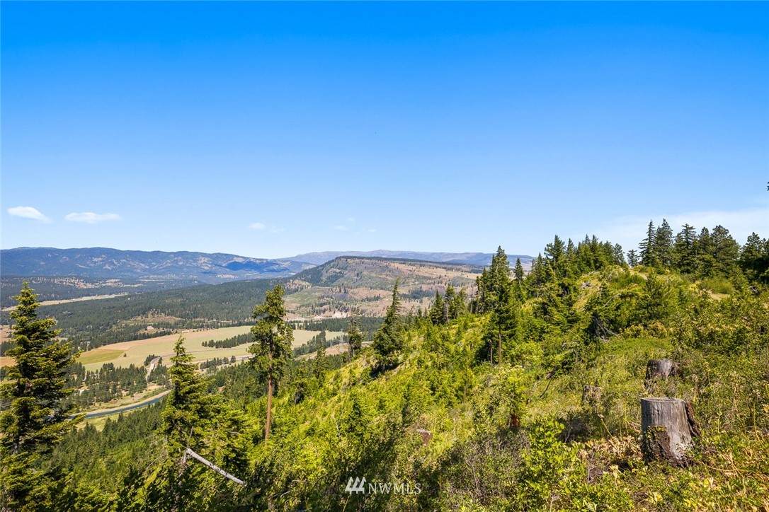 1 Black Hawk Drive - Photo 1