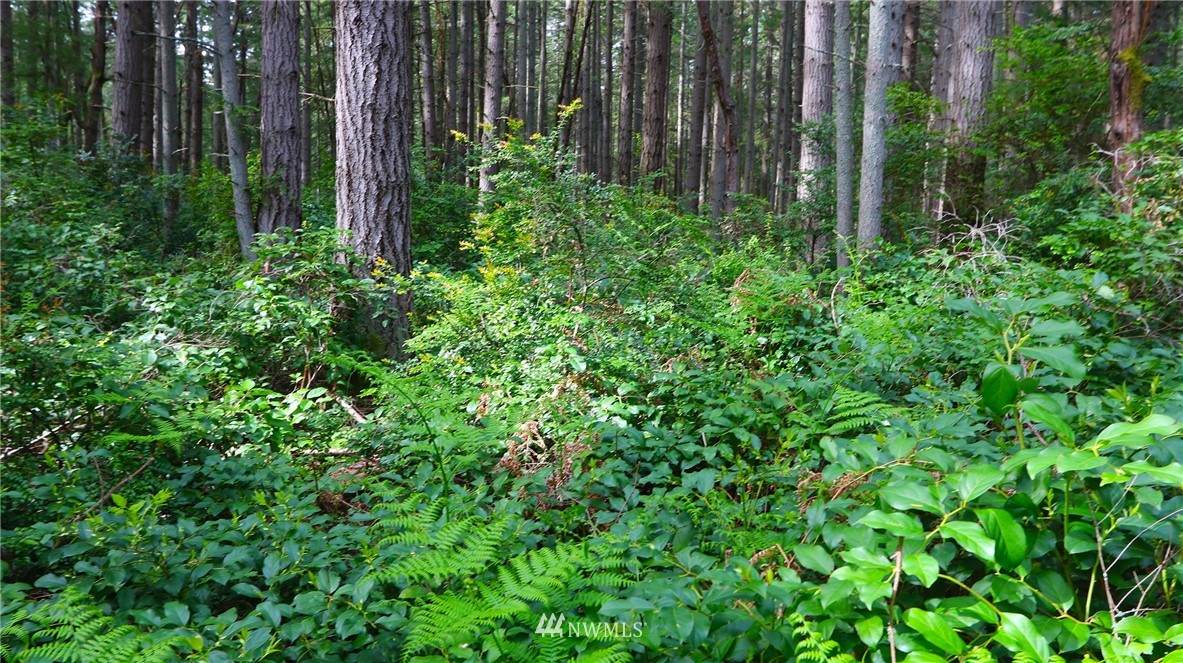 294 xx 129th Avenue - Photo 1