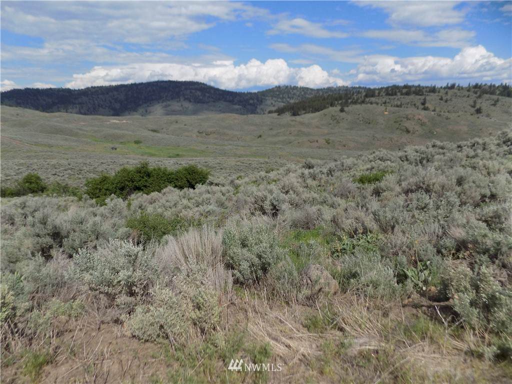 111 TBD Ping Road - Photo 1