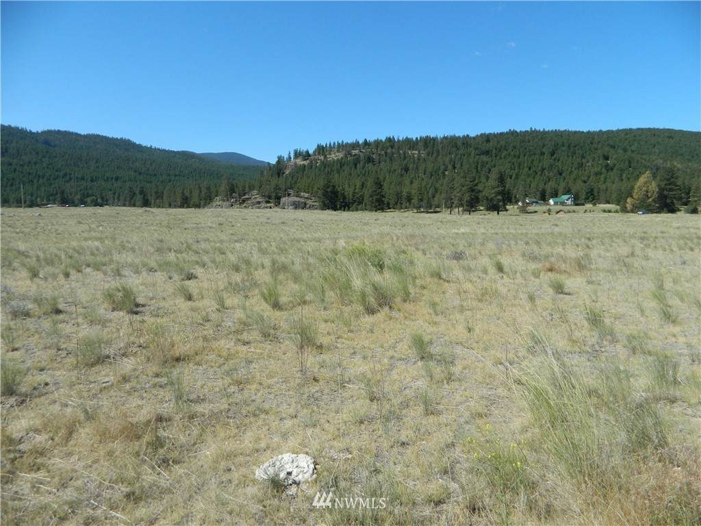 111 TBD Aeneas Valley Road - Photo 1