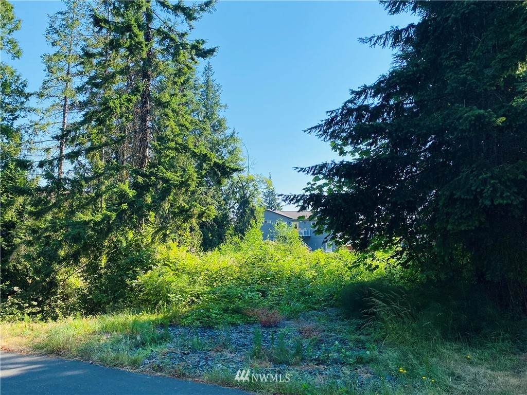 8142 Comox Loop - Photo 1