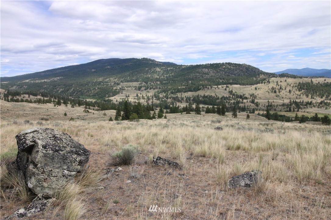 0 Hwy 20 - Photo 1