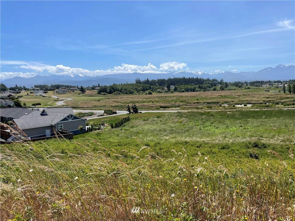 0 Hogback Road - Photo 1