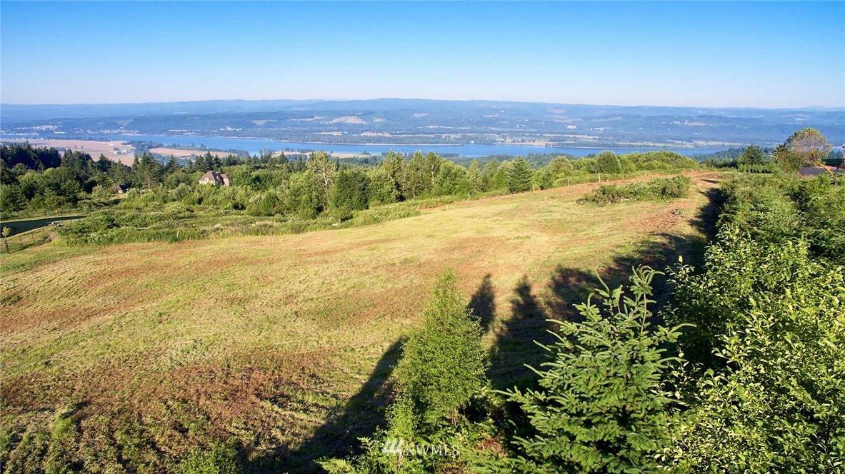 286 Shirley Gordon Road - Photo 1