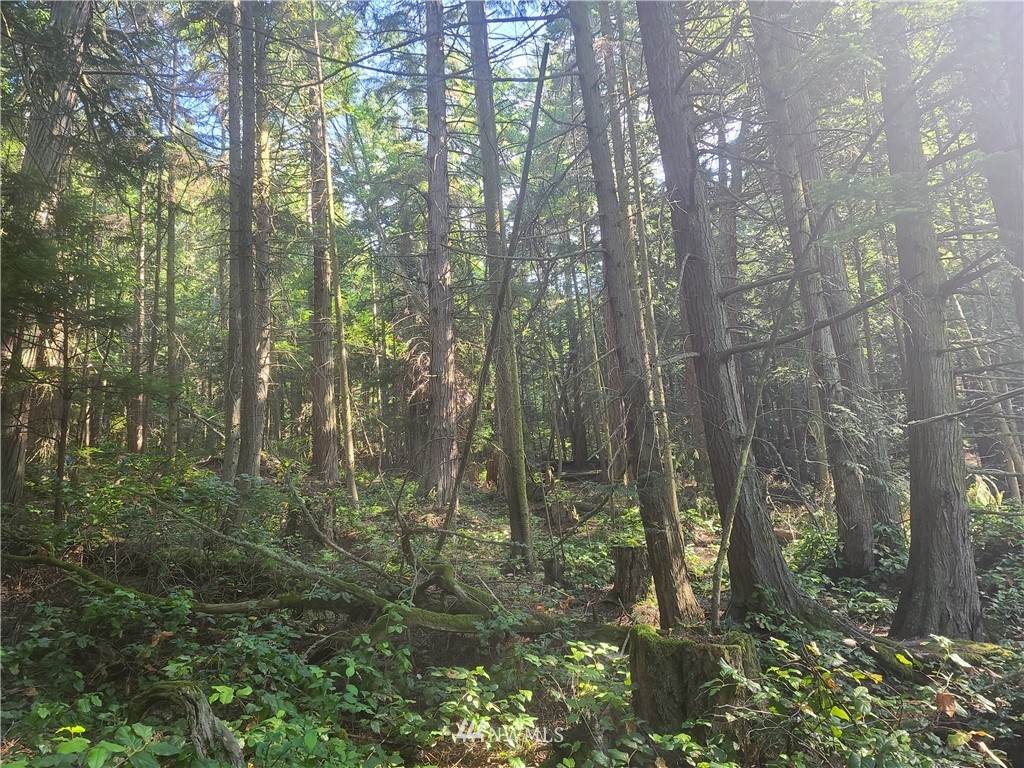 20 Madrona Estates - Photo 1