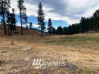 0 TBD Cook Mtn Road - Photo 1