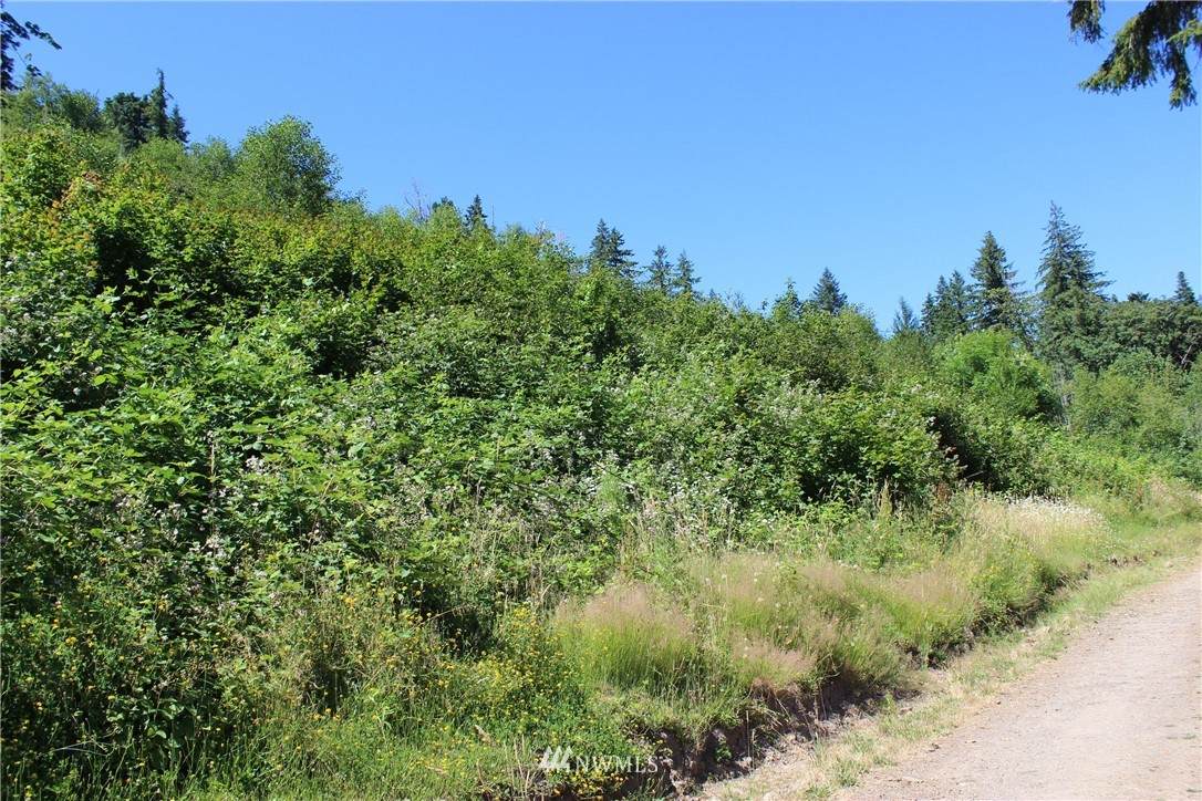 415 Clearwater Road - Photo 1