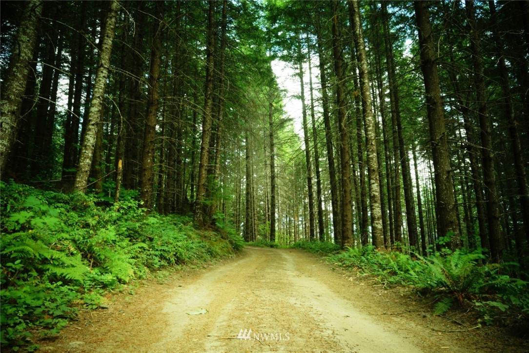 0 Opportune Lane - Photo 1