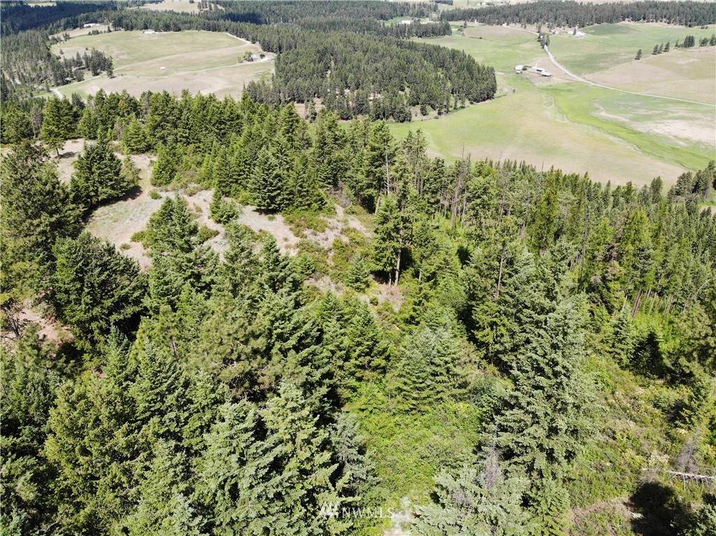 2420 A Cedonia-Addy Rd - Photo 1