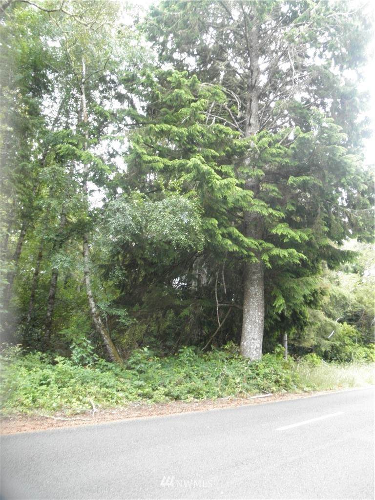 14100 Birch Street - Photo 1