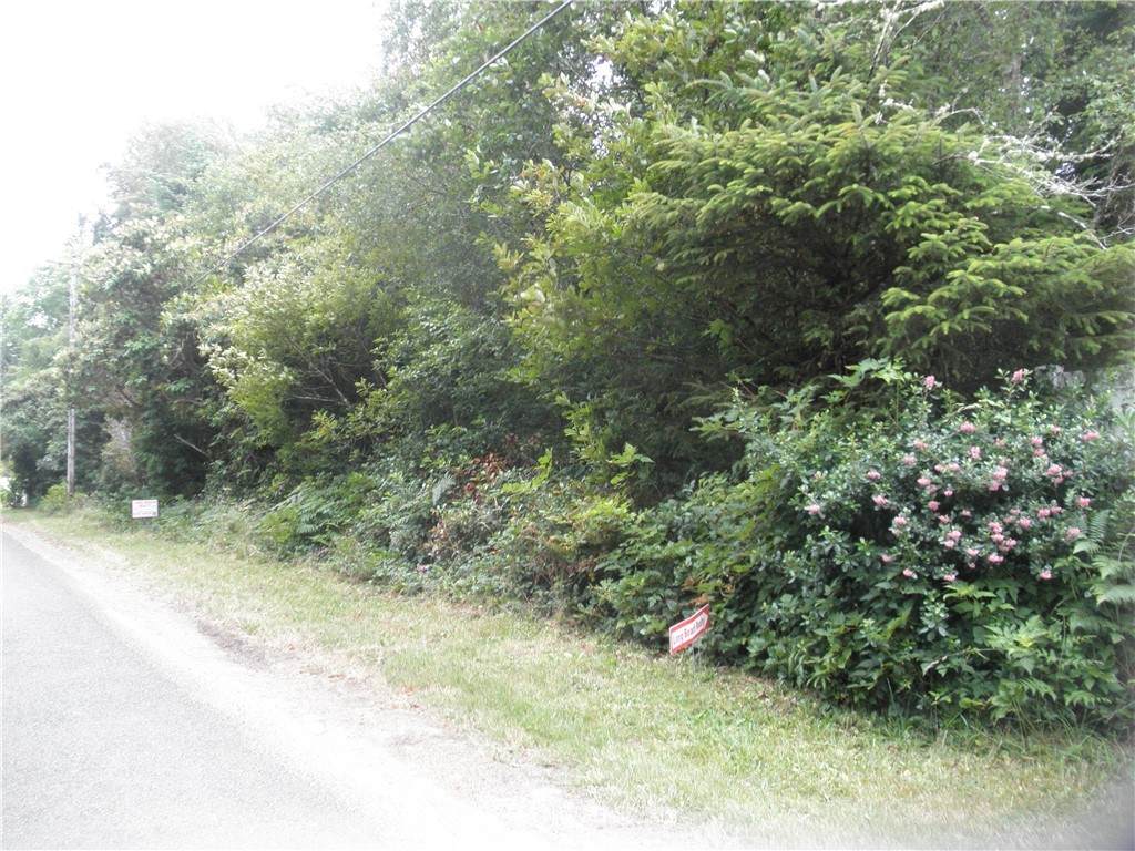 14101 Birch Street - Photo 1