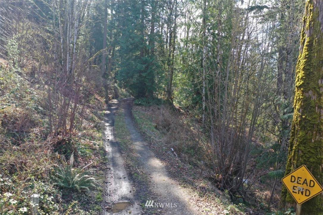 146 XX 274th Avenue - Photo 1