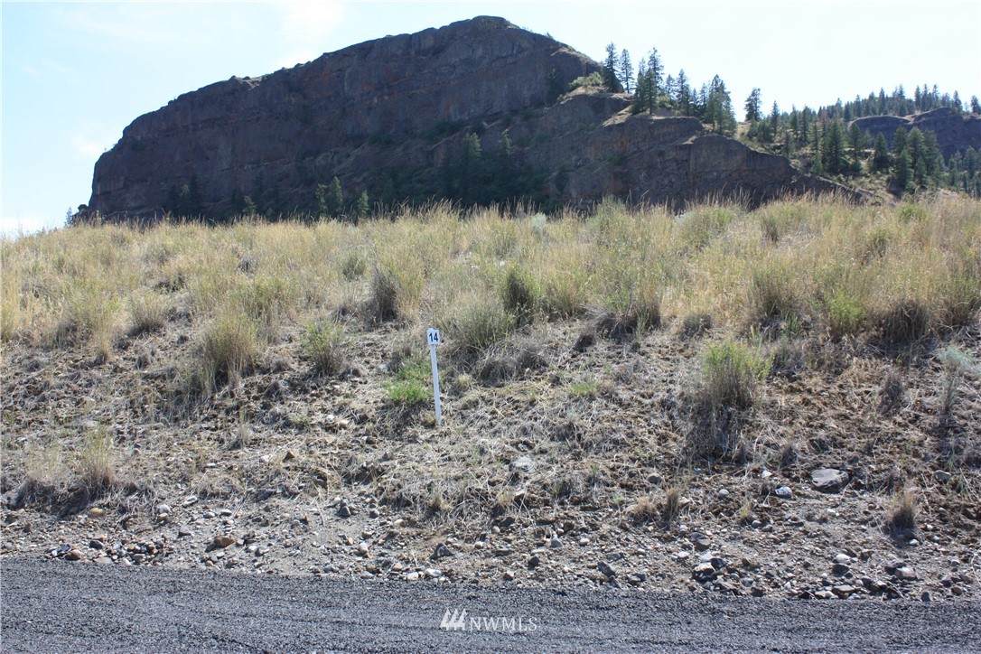 39430 Terraced Way - Photo 1
