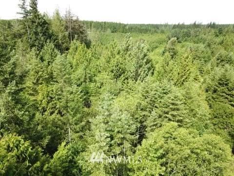 5442 Grapeview Loop Rd - Photo 1