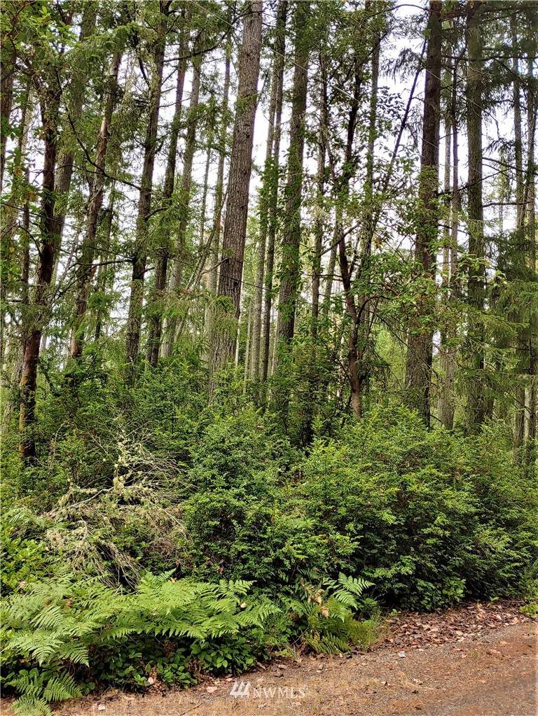 10305 Eckenstam Johnson Road - Photo 1
