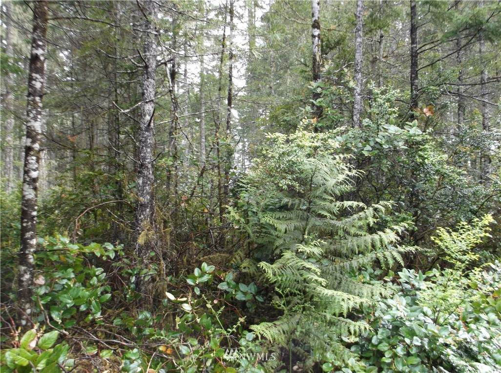 61 lot 62 Timber Tides Dr. - Photo 1