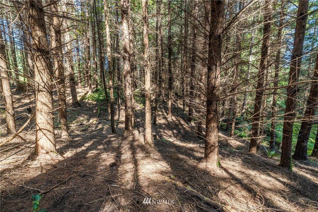 0 Sawdust Hill Road - Photo 1