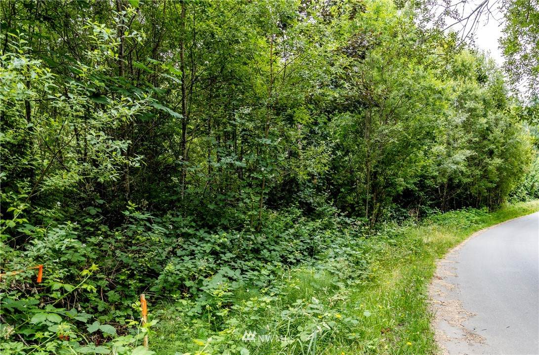 0 Tani Creek Lot L1 Road - Photo 1