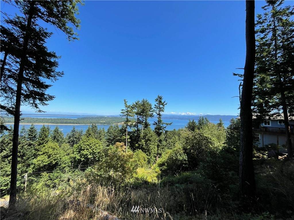 2961 Hales Passage Drive - Photo 1