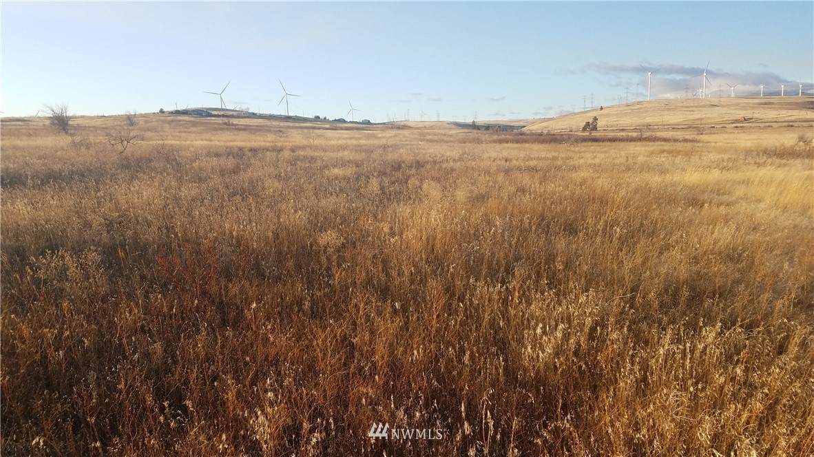 5 A_2 Lot 5A-2 Ellensburg Ranches - Photo 1