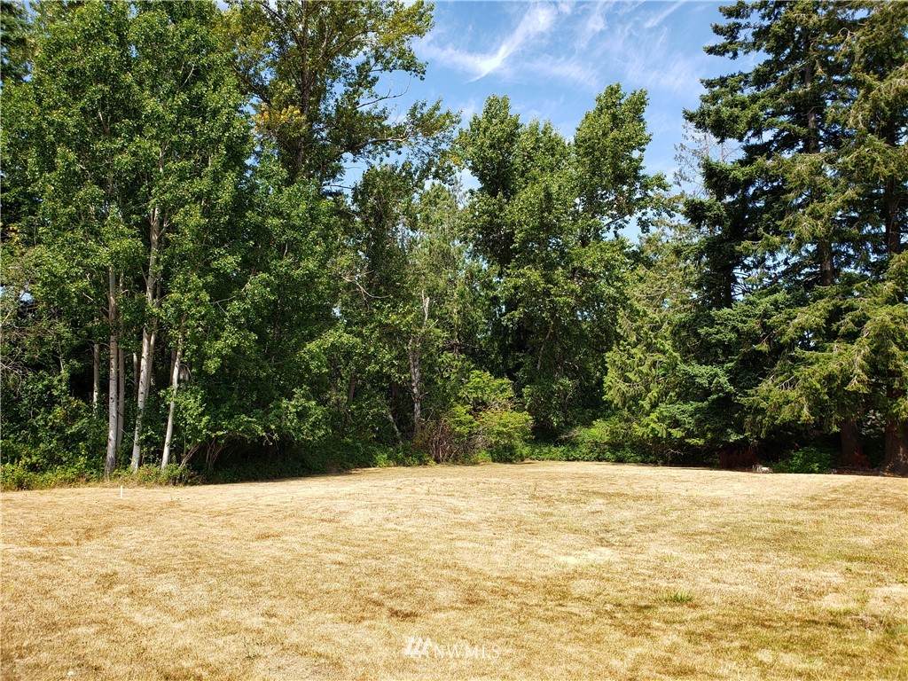 3131 Coolidge Drive - Photo 1