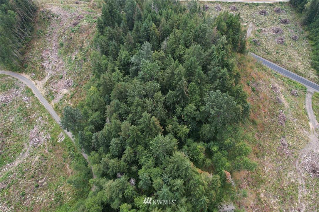 0 Us Highway 12 - Photo 1