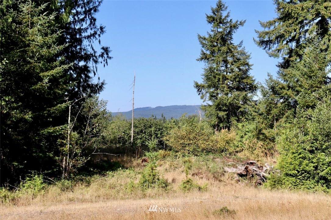 14922 Littlerock Road - Photo 1