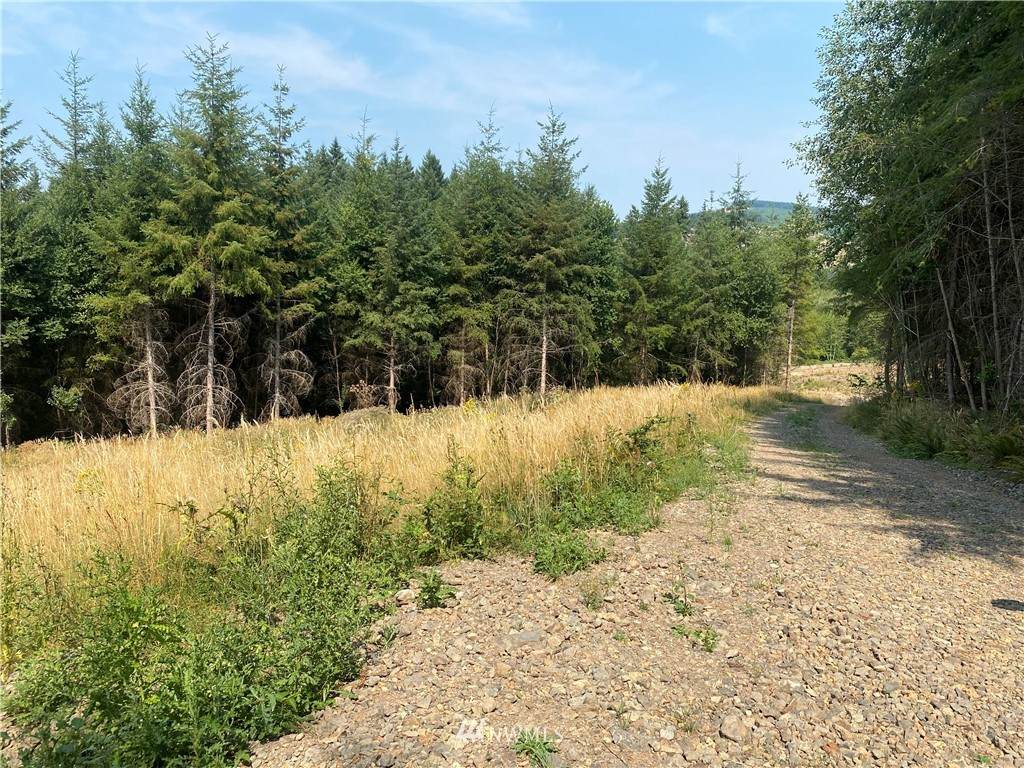 0 Goble Creek Road - Photo 1