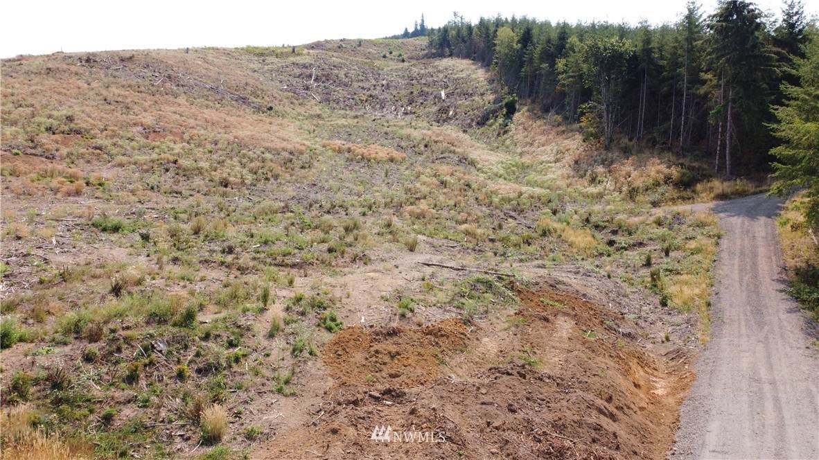 0 Goble Creek Road - Photo 1
