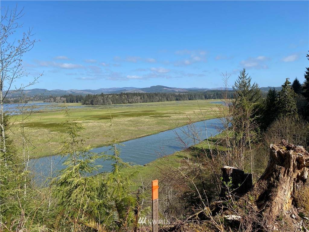 0 Lynn Point Ln - Photo 1
