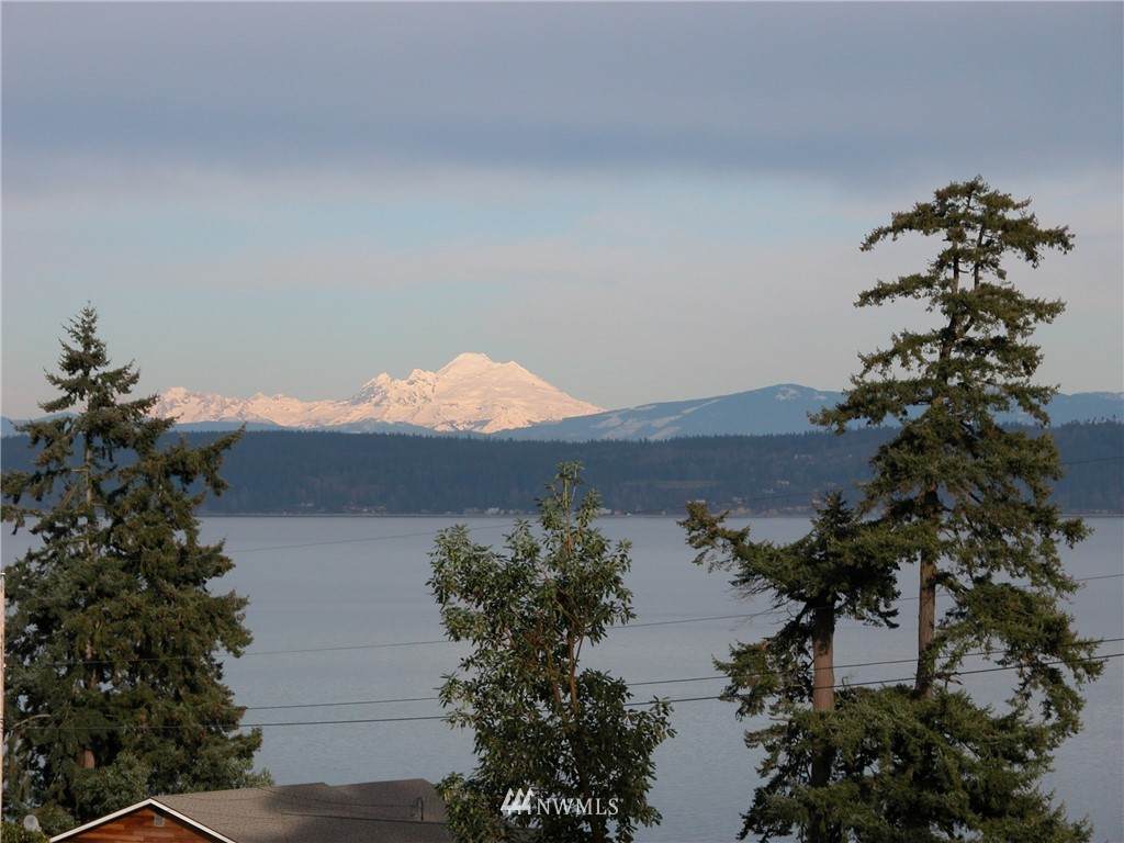 0 XXX Vashon - Photo 1