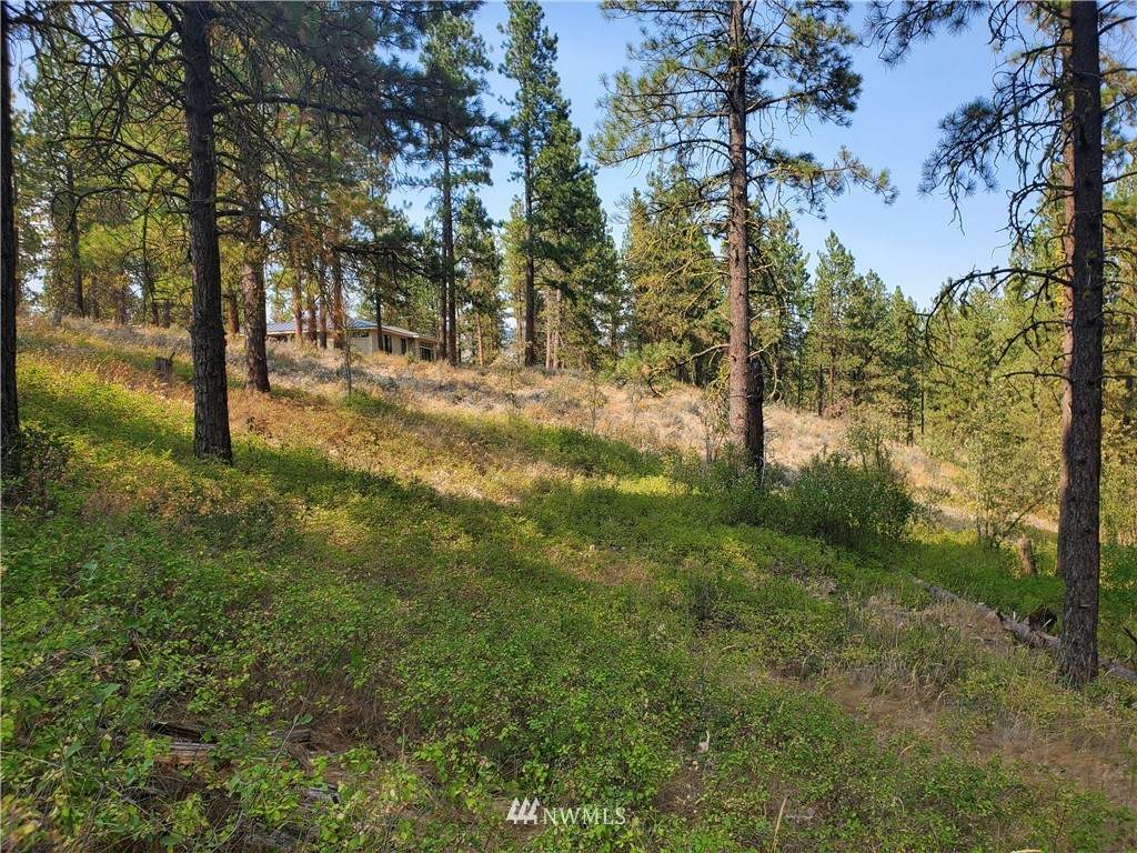 293 Swauk Pines Road - Photo 1
