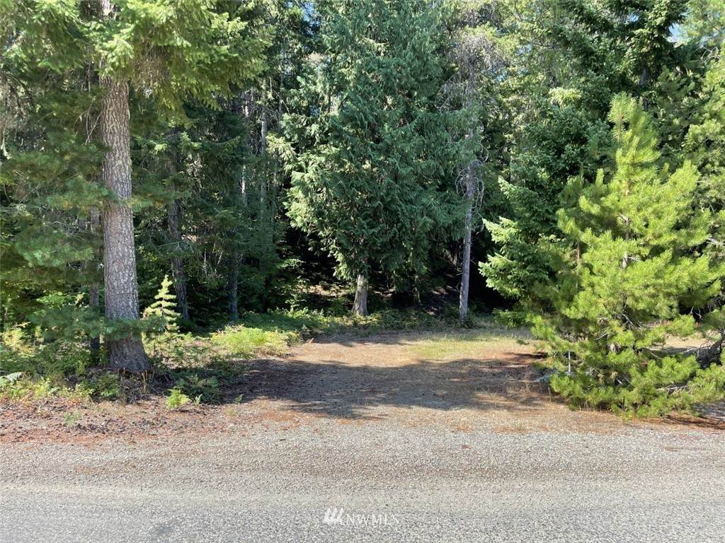 11 X Kachess River Road - Photo 1