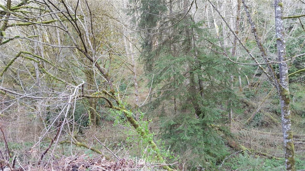 22523 SR 410 Highway - Photo 1