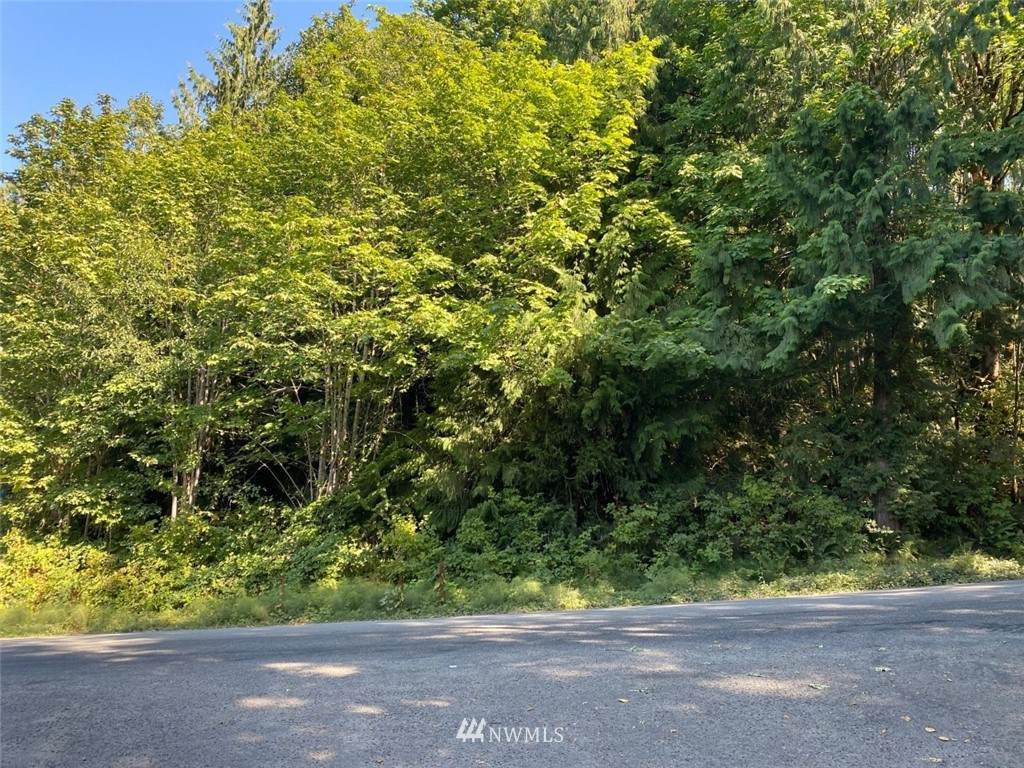 0 Alderwood Road - Photo 1