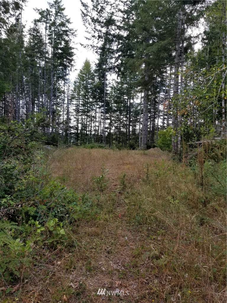 181 Tahuya Valley Drive - Photo 1