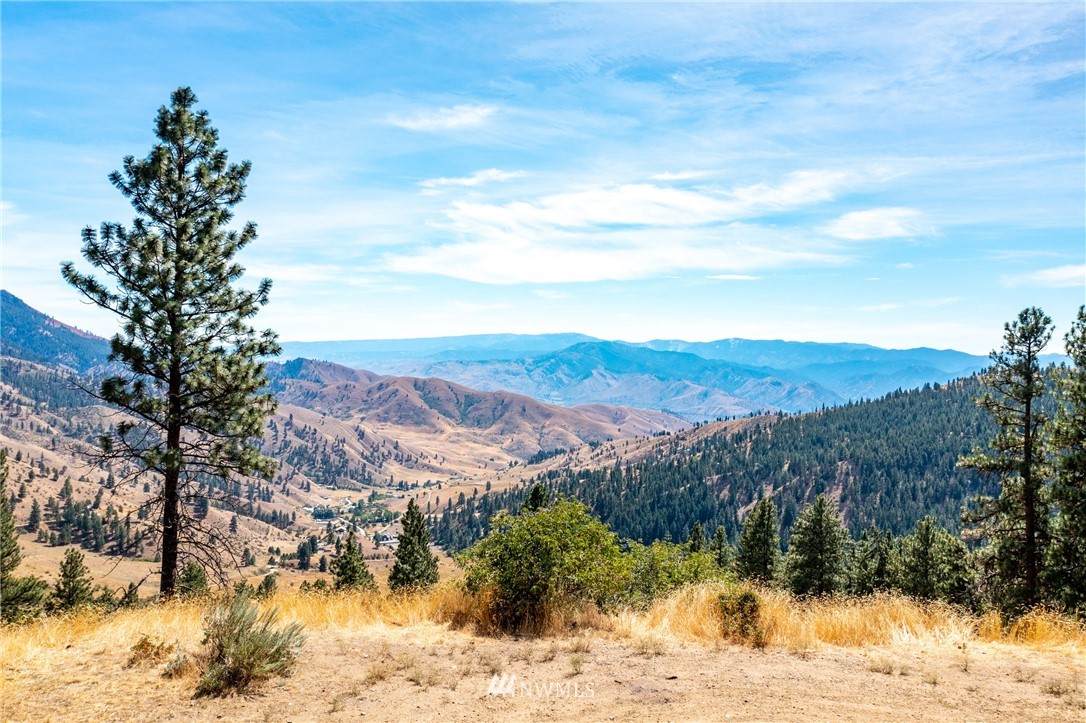 1 Nahahum Canyon Rd - Photo 1